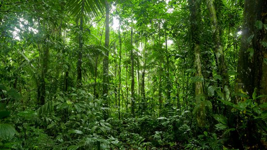 Reprodução Climate Policy Initiative