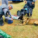 Divulgação / Polícia Militar