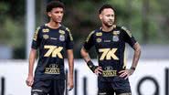 Raul Baretta/Santos FC