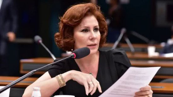 Foto: Zeca Ribeiro / Câmara dos Deputados
