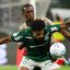 Reprodução / Cesar Greco / Palmeiras