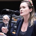 Thiago Cristino / Câmara dos Deputados