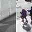 Reprodução | Instagram | @policiacivil_rj