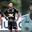 Raul Baretta/Santos / Ivan Storti / Santos