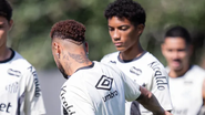 Raul Baretta/Santos FC