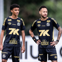 Raul Baretta/Santos FC
