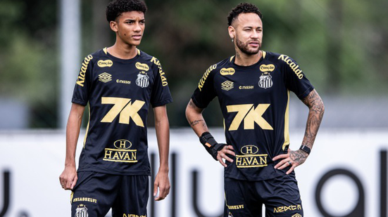 Raul Baretta/Santos FC
