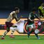 Reprodução / Cesar Greco / Palmeiras