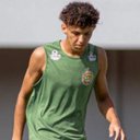 Foto / Divulgação
