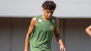 Foto / Divulgação