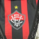 Reprodução / Victor Ferreira / Ec Vitória