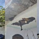 Fotos: BVAJ