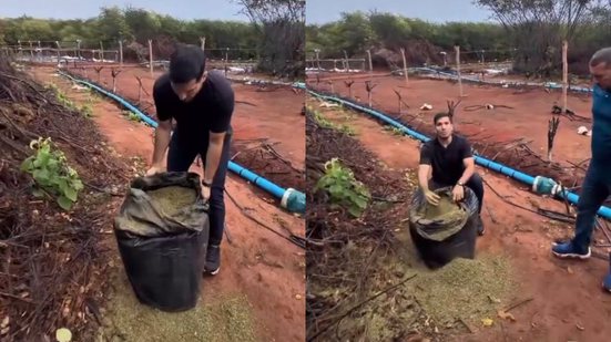 Reprodução/redes sociais
