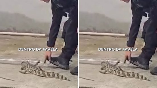 Reprodução | Instagram | @policiacivil_rj