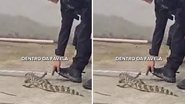 Reprodução | Instagram | @policiacivil_rj
