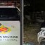 Divulgação | PMDF