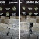 Reprodução | Instagram | @policiacivil_rj