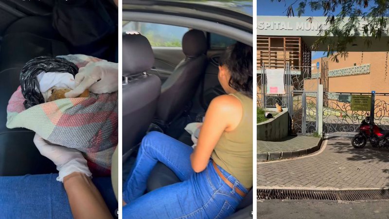 Caso de gato morto na frente do Hospital Veterinário de Salvador provoca críticas sobre horário de atendimento\u003B gestão rebate