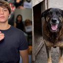 Reprodução/ Redes sociais