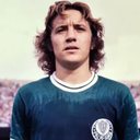 Divulgação/Palmeiras