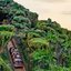 Foto: Reprodução / Site do Walt Disney World