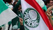Cesar Greco / Palmeiras