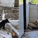 Divulgação/Ascom PCBA