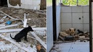 Divulgação/Ascom PCBA