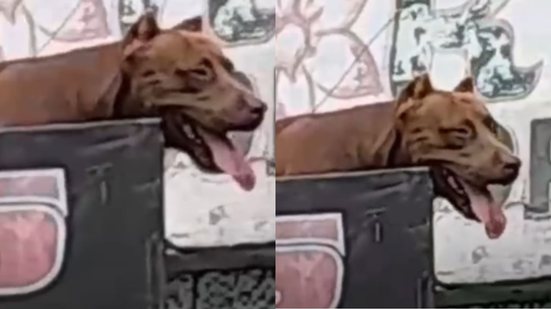 Reprodução/Redes Sociais