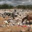 Reprodução / TV Bahia