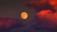 Reprodução Freepik