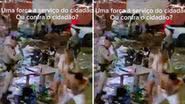 Divulgação