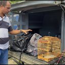Divulgação/Ascom PCBA