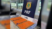 Reprodução PRF