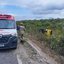 Divulgação/ GCM Canindé