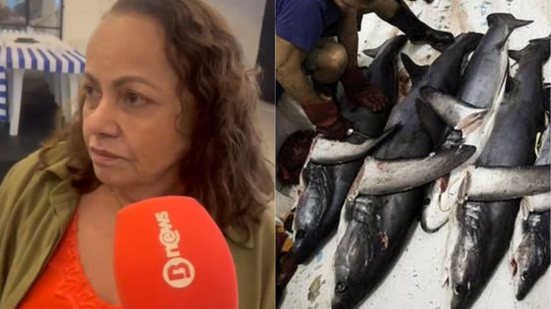 Arquivo BNews e Sea Sherpad