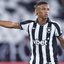 Vitor Silva / Botafogo