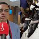 Henrique Brinco / BNews e Sea Sherpad
