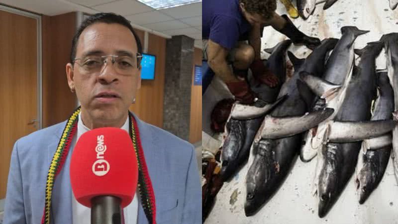 Henrique Brinco / BNews e Sea Sherpad