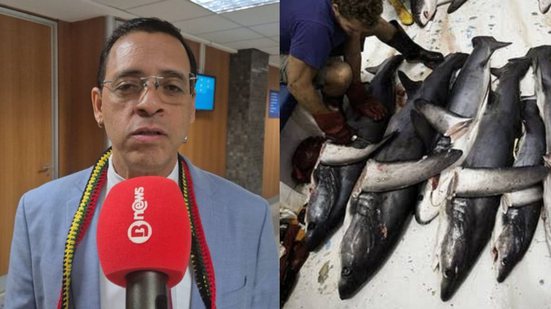 Henrique Brinco / BNews e Sea Sherpad