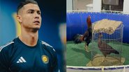 Reprodução / Redes Sociais / Instagram / @cristiano e Divulgação/Polícia Civil