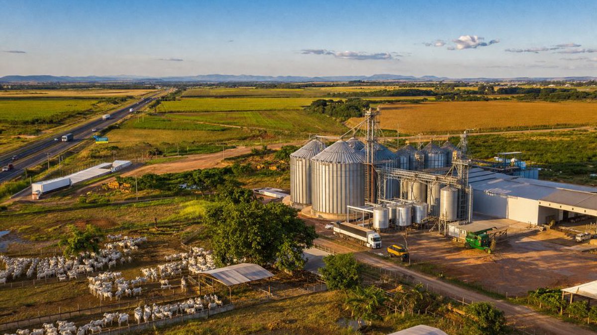 Réu por danos ambientais graves, empresário é acusado também de fraude na compra de propriedade rural