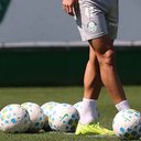 Cesar Greco/Palmeiras
