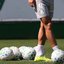 Cesar Greco/Palmeiras