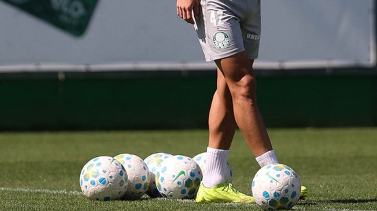 Cesar Greco/Palmeiras
