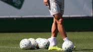 Cesar Greco/Palmeiras