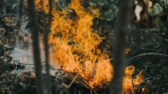 Foto: Ilustrativa / Pexels