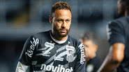Raul Baretta / Santos FC