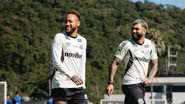 Raul Baretta/Santos FC