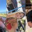 Reprodução / Redes Sociais